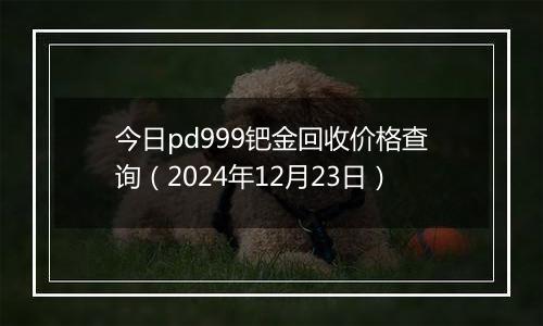 今日pd999钯金回收价格查询(2024年12月23日)