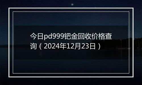 今日pd999钯金回收价格查询(2024年12月23日)
