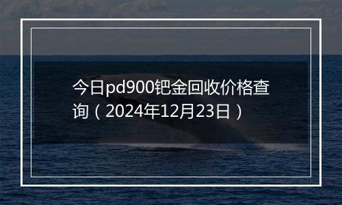 今日pd900钯金回收价格查询(2024年12月23日)