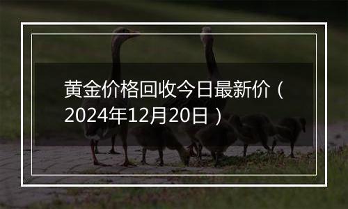 黄金价格回收今日最新价(2024年12月20日)