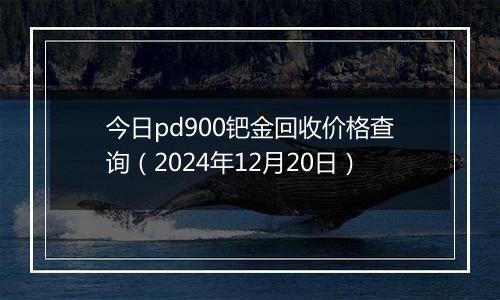 今日pd900钯金回收价格查询(2024年12月20日)