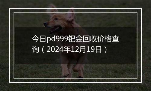 今日pd999钯金回收价格查询(2024年12月19日)