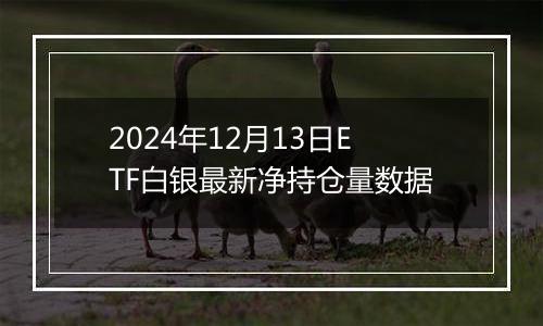 2024年12月13日ETF白银最新净持仓量数据