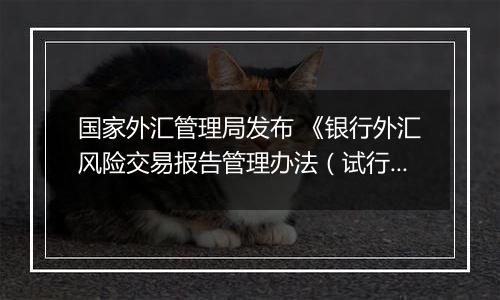 国家外汇管理局发布 《银行外汇风险交易报告管理办法(试行)》
