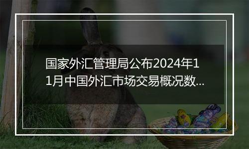国家外汇管理局公布2024年11月中国外汇市场交易概况数据