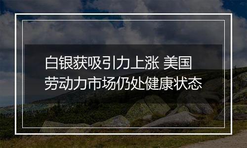 白银获吸引力上涨 美国劳动力市场仍处健康状态