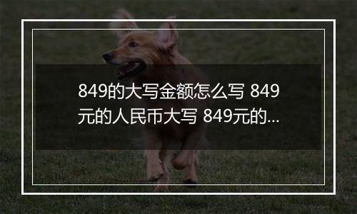 849的大写金额怎么写 849元的人民币大写 849元的数字大写