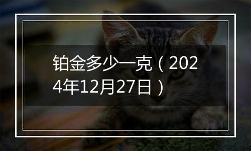 铂金多少一克(2024年12月27日)