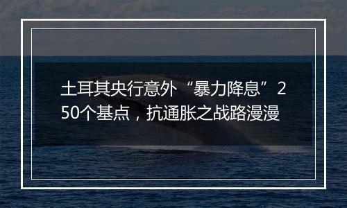 土耳其央行意外“暴力降息”250个基点,抗通胀之战路漫漫