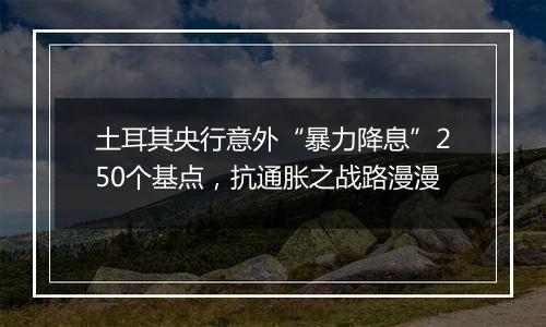 土耳其央行意外“暴力降息”250个基点,抗通胀之战路漫漫