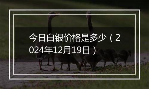 今日白银价格是多少(2024年12月19日)
