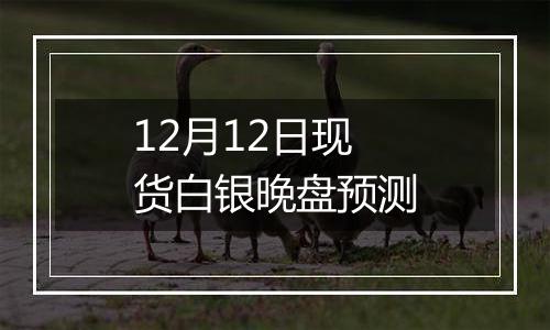 12月12日现货白银晚盘预测