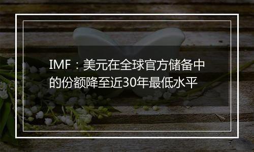 IMF:美元在全球官方储备中的份额降至近30年最低水平