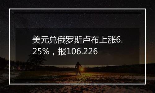 美元兑俄罗斯卢布上涨6.25%,报106.226