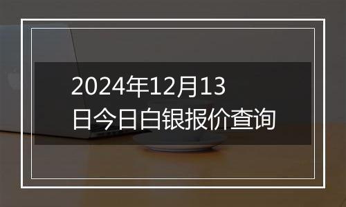 2024年12月13日今日白银报价查询