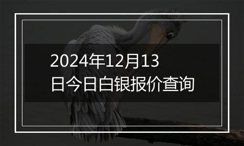 2024年12月13日今日白银报价查询