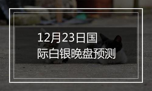 12月23日国际白银晚盘预测