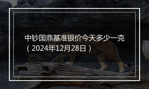 中钞国鼎基准银价今天多少一克(2024年12月28日)