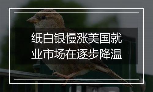 纸白银慢涨美国就业市场在逐步降温