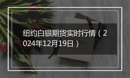 纽约白银期货实时行情(2024年12月19日)