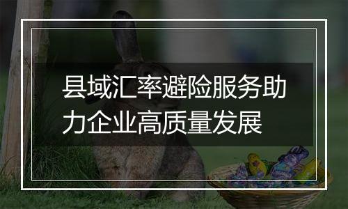 县域汇率避险服务助力企业高质量发展