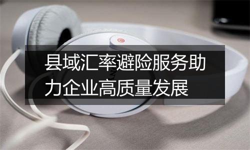 县域汇率避险服务助力企业高质量发展