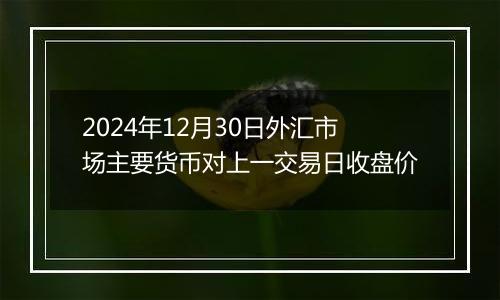 2024年12月30日外汇市场主要货币对上一交易日收盘价