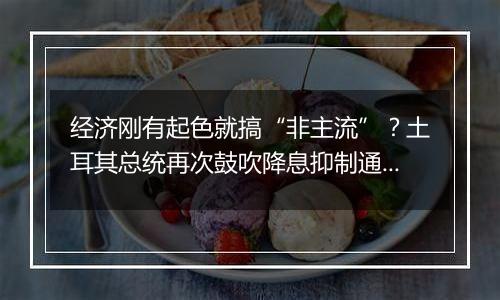 经济刚有起色就搞“非主流”?土耳其总统再次鼓吹降息抑制通胀理论
