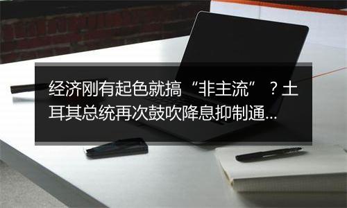 经济刚有起色就搞“非主流”?土耳其总统再次鼓吹降息抑制通胀理论