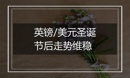 英镑/美元圣诞节后走势维稳