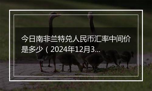 今日南非兰特兑人民币汇率中间价是多少(2024年12月30日)