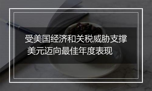 受美国经济和关税威胁支撑 美元迈向最佳年度表现