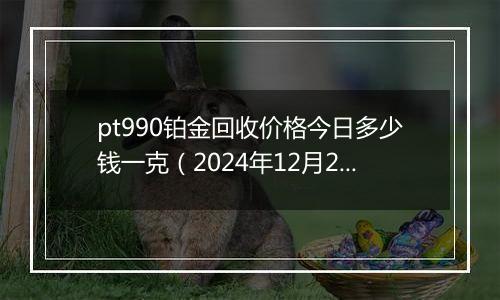 pt990铂金回收价格今日多少钱一克(2024年12月21日)