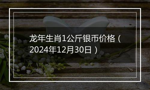 龙年生肖1公斤银币价格(2024年12月30日)