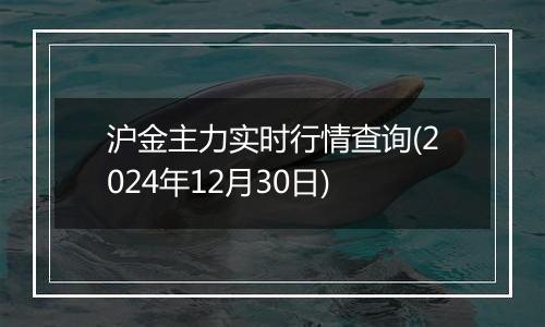 沪金主力实时行情查询(2024年12月30日)