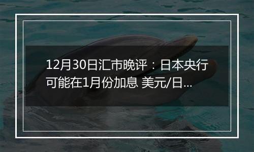 12月30日汇市晚评:日本央行可能在1月份加息 美元/日元走势依然低迷