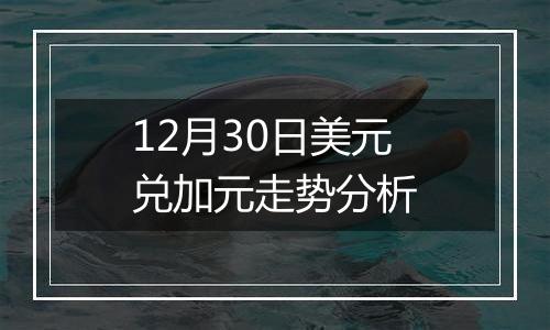12月30日美元兑加元走势分析
