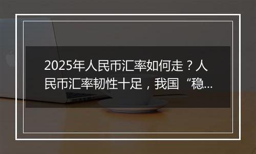 2025年人民币汇率如何走?人民币汇率韧性十足,我国“稳汇率”工具将为人民币在合理区间波动提供支撑