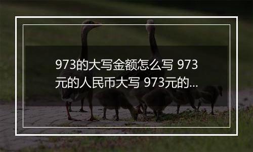 973的大写金额怎么写 973元的人民币大写 973元的数字大写
