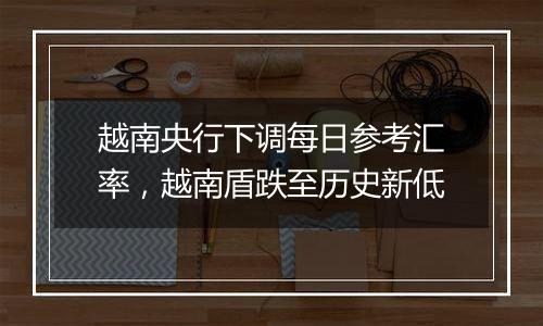 越南央行下调每日参考汇率,越南盾跌至历史新低