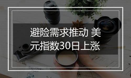 避险需求推动 美元指数30日上涨