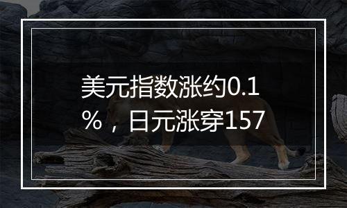 美元指数涨约0.1%,日元涨穿157
