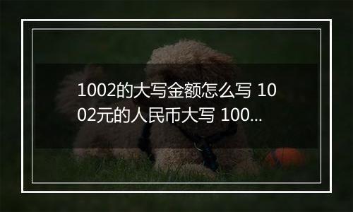 1002的大写金额怎么写 1002元的人民币大写 1002元的数字大写