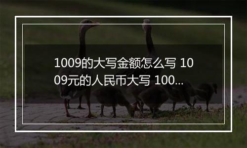 1009的大写金额怎么写 1009元的人民币大写 1009元的数字大写