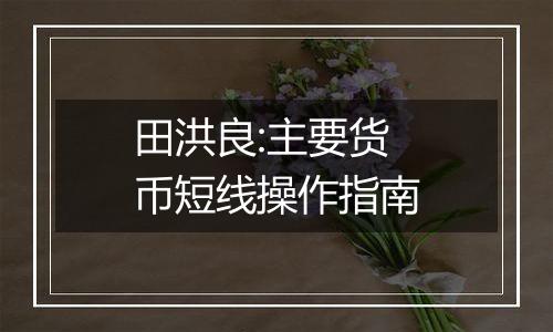 田洪良:主要货币短线操作指南