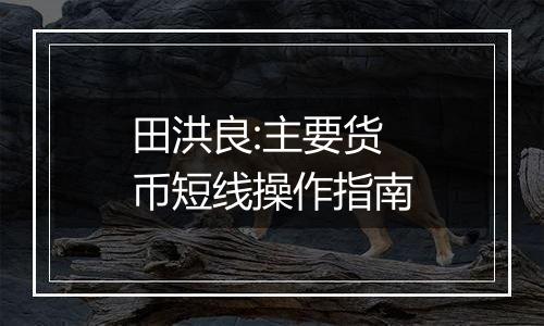 田洪良:主要货币短线操作指南