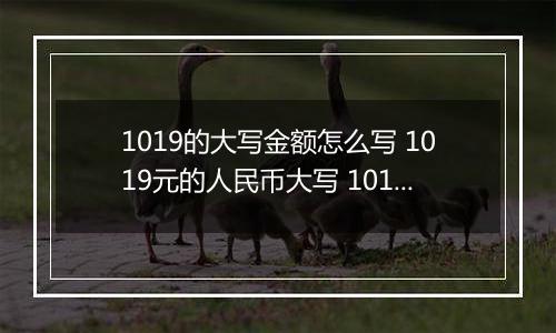 1019的大写金额怎么写 1019元的人民币大写 1019元的数字大写