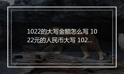 1022的大写金额怎么写 1022元的人民币大写 1022元的数字大写
