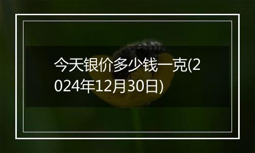 今天银价多少钱一克(2024年12月30日)