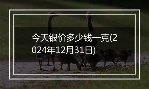 今天银价多少钱一克(2024年12月31日)